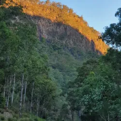 Condamine River Walk - Warwick