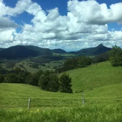Condamine River Walk - Warwick