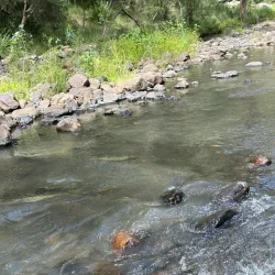 Condamine River Walk - Warwick