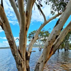 Leslie Park - Warwick