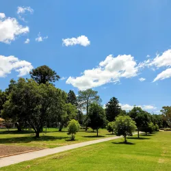 Leslie Park - Warwick