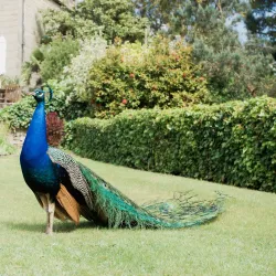 Warwick Botanic Gardens - Warwick