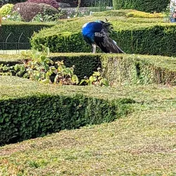 Warwick Botanic Gardens - Warwick