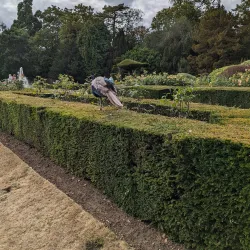 Warwick Botanic Gardens - Warwick