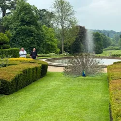 Warwick Botanic Gardens - Warwick