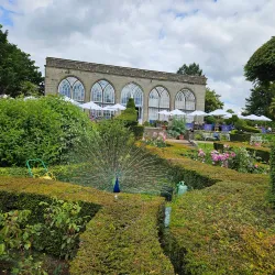 Warwick Botanic Gardens - Warwick