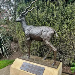 Warwick Botanic Gardens - Warwick