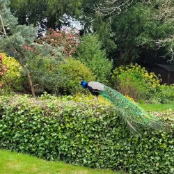 Warwick Botanic Gardens - Warwick