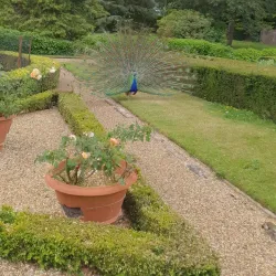 Warwick Botanic Gardens - Warwick