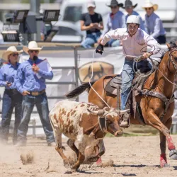 Warwick Rodeo Grounds - Warwick