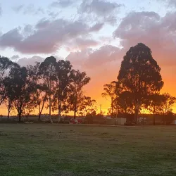 Warwick Showgrounds - Warwick