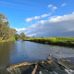 Warwick Showgrounds - Warwick