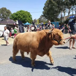 Warwick Showgrounds - Warwick