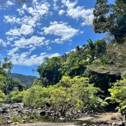 Conway National Park - Whitsundays