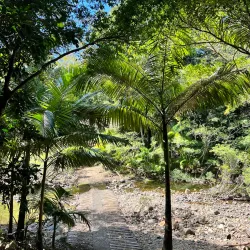 Conway National Park - Whitsundays