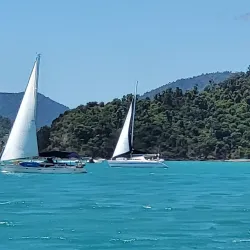 Great Barrier Reef - Whitsundays