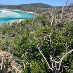 Hill Inlet - Whitsundays