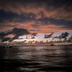 Hook Island - Whitsundays