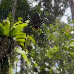 Ngaro Sea Trail - Whitsundays