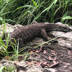Ngaro Sea Trail - Whitsundays