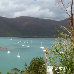 Shute Harbour - Whitsundays