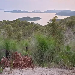 Shute Harbour - Whitsundays