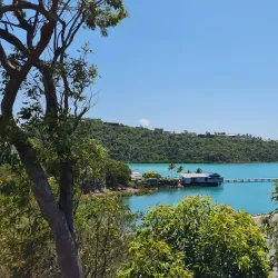 Shute Harbour - Whitsundays