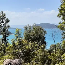 Shute Harbour - Whitsundays