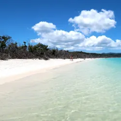 Whitehaven Beach - Whitsundays