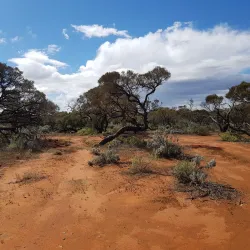 Whyalla Conservation Park - Whyalla
