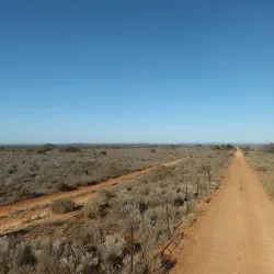 Whyalla Conservation Park - Whyalla