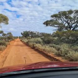 Whyalla Conservation Park - Whyalla