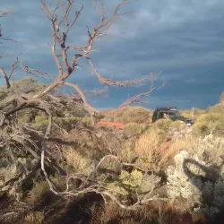 Whyalla Conservation Park - Whyalla