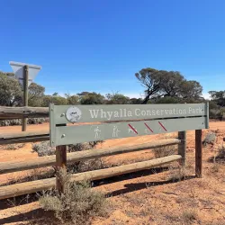 Whyalla Conservation Park - Whyalla