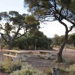 Whyalla Conservation Park - Whyalla