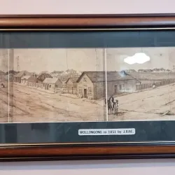 Illawarra Museum - Wollongong