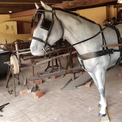 Illawarra Museum - Wollongong