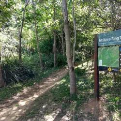 Mount Keira Lookout - Wollongong