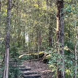 Mount Keira Lookout - Wollongong