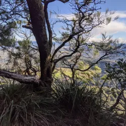 Mount Keira Lookout - Wollongong