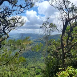 Mount Keira Lookout - Wollongong
