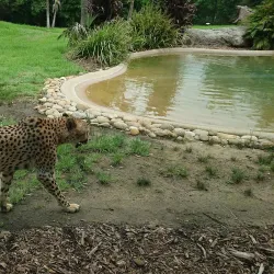 Symbio Wildlife Park - Wollongong