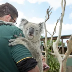 Symbio Wildlife Park - Wollongong