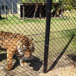 Symbio Wildlife Park - Wollongong