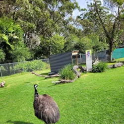 Symbio Wildlife Park - Wollongong