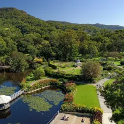 Wollongong Botanic Garden - Wollongong