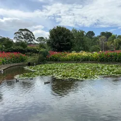 Wollongong Botanic Garden - Wollongong