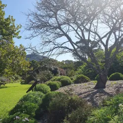 Wollongong Botanic Garden - Wollongong