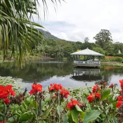 Wollongong Botanic Garden - Wollongong