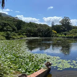 Wollongong Botanic Garden - Wollongong
